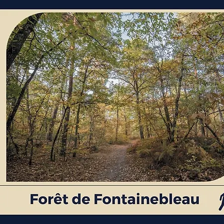 Le Logis De - Confort - Centre Fontainebleau