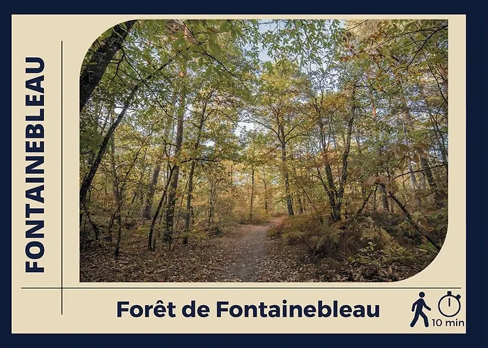Le Logis De - Confort - Centre フォンテーヌブロー